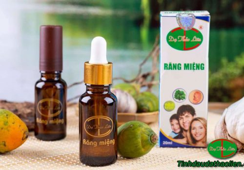 sản phẩm của dạ thảo liên