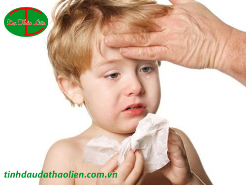 Viêm đường hô hấp trên