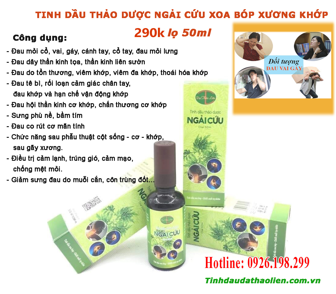Tinh dầu ngải cứu chữa đau nhức xương khớp