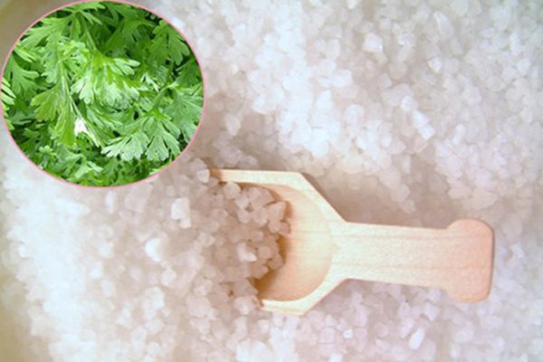 Rang muối với ngải cứu