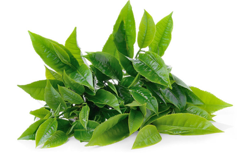 Hôi chân Dạ Thảo Liên