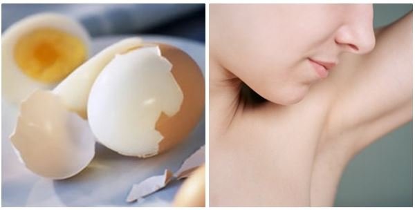 tri hoi nach dạ thảo liên