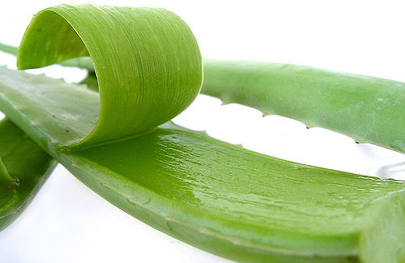 Nha đam trị rôm sảy