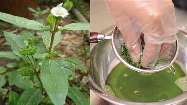 chua nhiet mieng tai nha ban nen biet