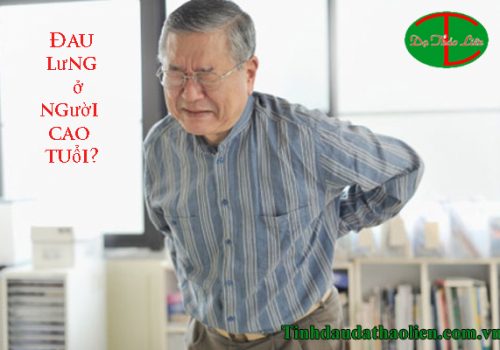 nh đau lưng ở người cao tuổi
