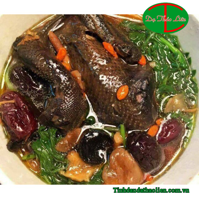 Công Dụng Chữa Bệnh Của Cây Ngải Cứu