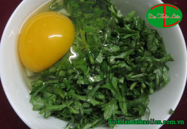 Công dụng chữa bệnh của cây ngải cứu