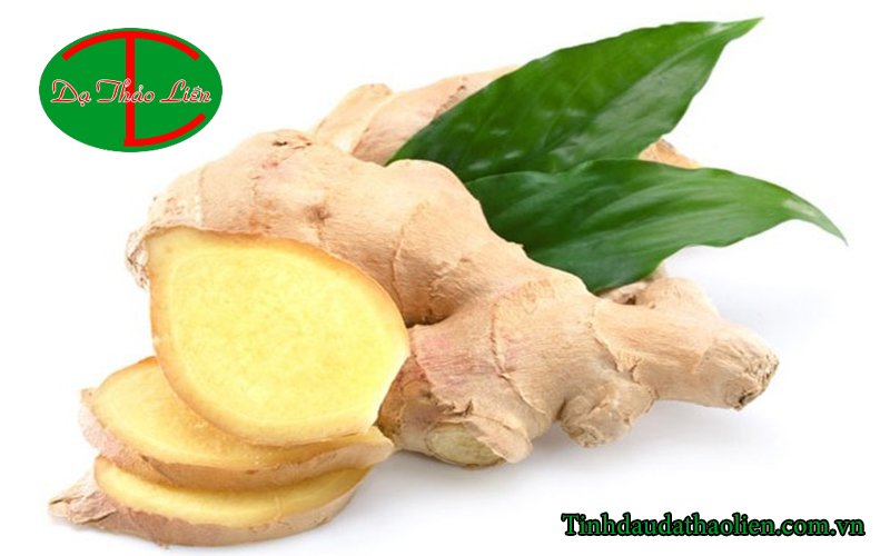 Viêm lợi có mủ 