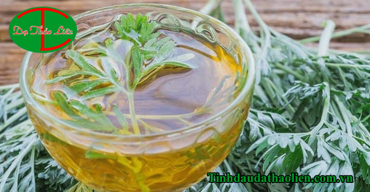 Chữa đau lưng bằng ngải cứu