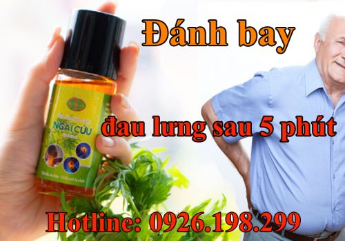 Tinh dầu ngải cứu có tác dụng gì