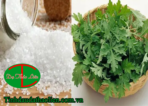 Chữa đau mỏi vai gáy bằng ngải cứu