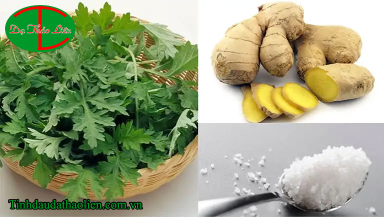 Chữa đau mỏi vai gáy bằng ngải cứu