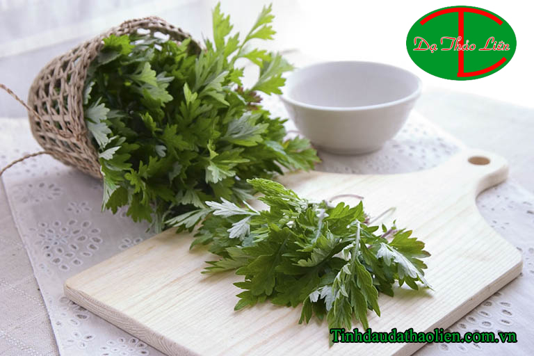 Chữa đau mỏi vai gáy bằng ngải cứu