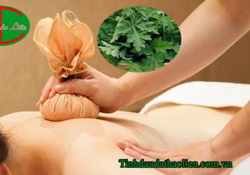 Chữa đau mỏi vai gáy bằng ngải cứu