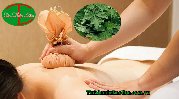 Chữa đau mỏi vai gáy bằng ngải cứu