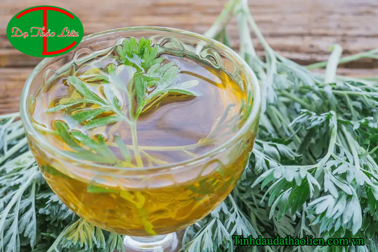 Chữa đau mỏi vai gáy bằng ngải cứu