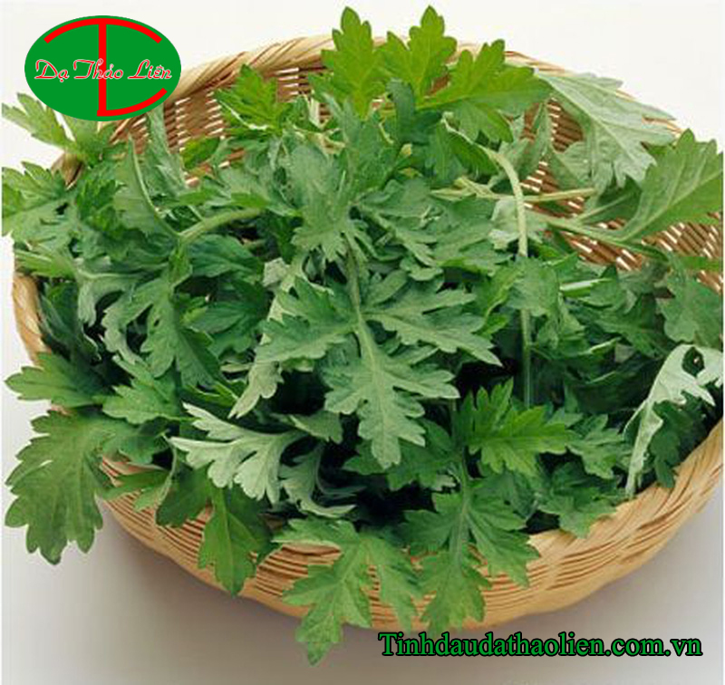 Đau chân phải làm sao