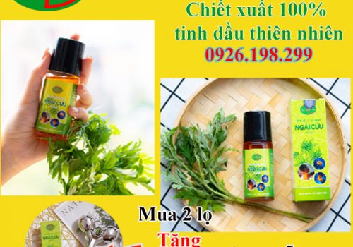 Tinh Dầu Ngải Cứu Dạ Thảo Liên Giá Bao Nhiêu