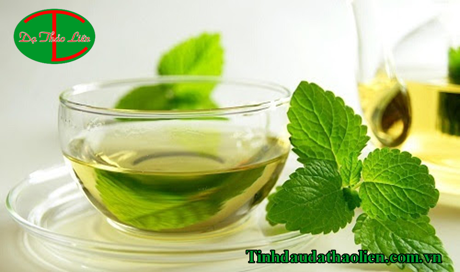 Bạc hà có tác dụng gì