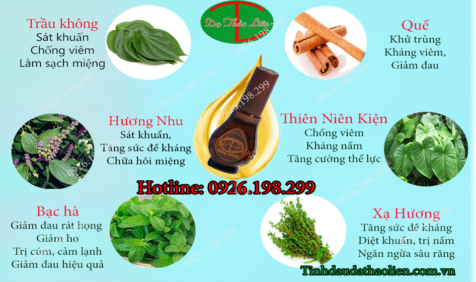 Cây hương nhu