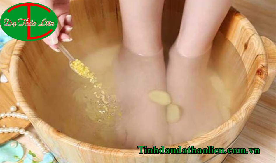 Củ gừng có tác dụng gì