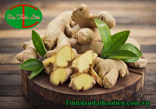 Củ gừng có tác dụng gì