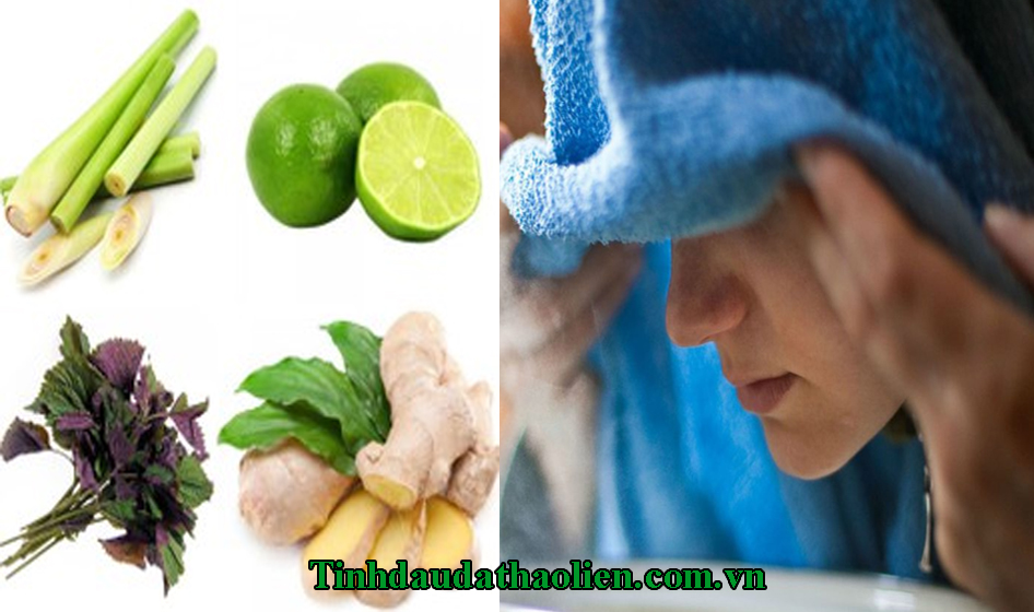 Củ gừng có tác dụng gì