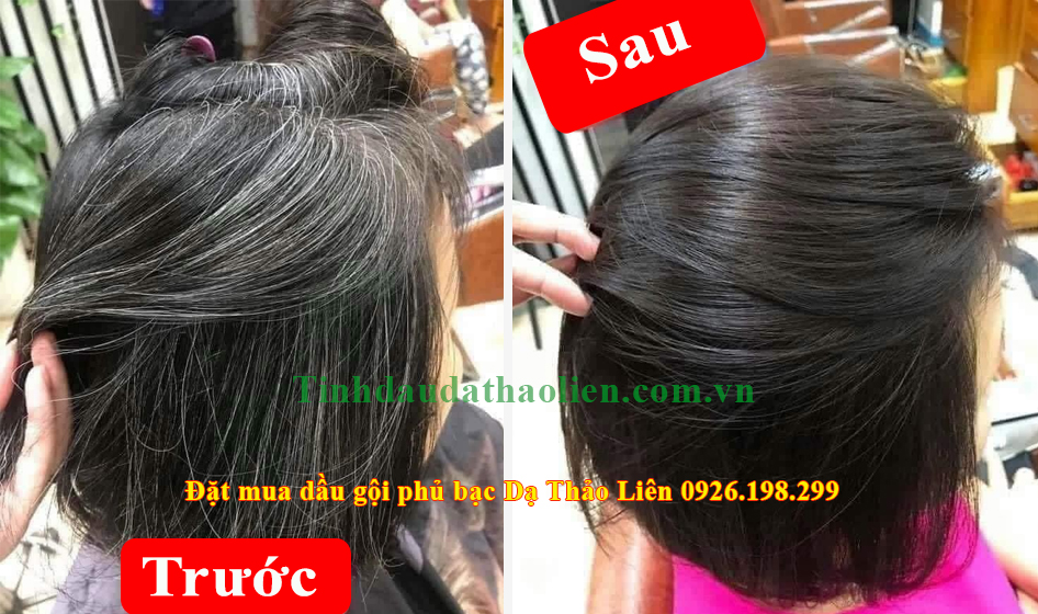 Dầu gội phủ bạc Dạ Thảo Liên