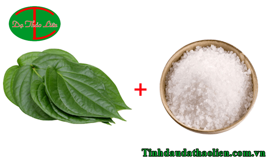 Mẹo trị đau nhức răng cấp tốc bằng lá trầu không