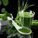 Bột tảo xoắn có tác dụng gì