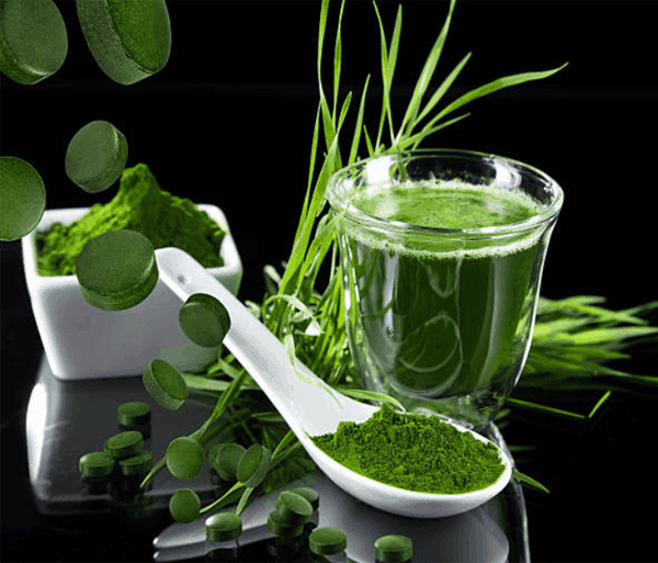 Bột tảo xoắn có tác dụng gì