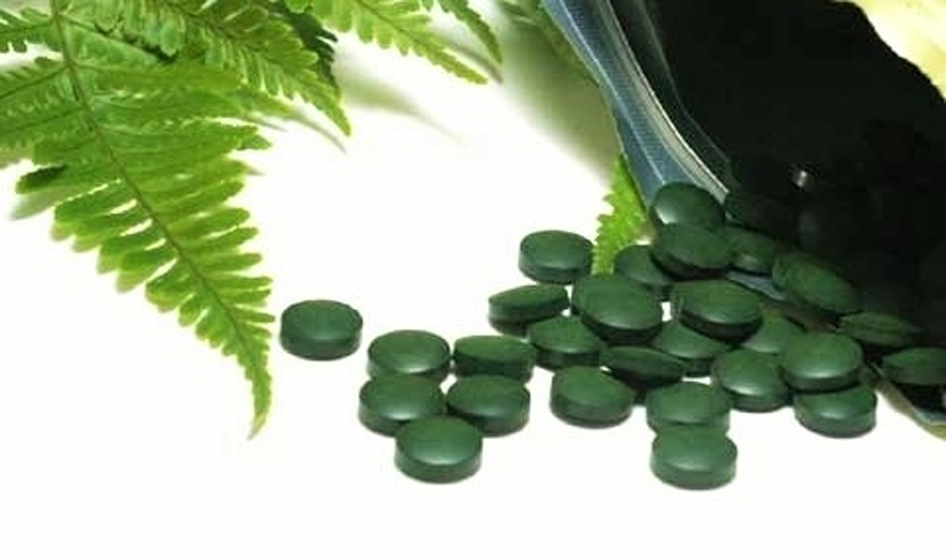 Tảo xoắn có tác dụng gì