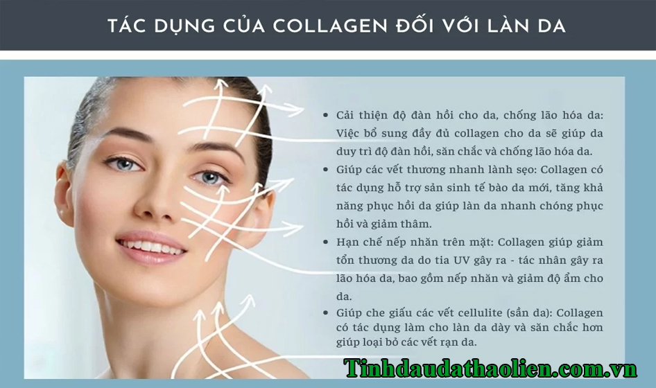 Collagen là gì