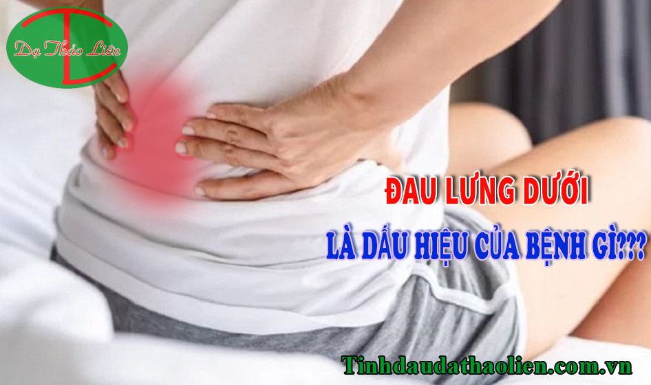 Đau lưng dưới là dấu hiệu của bệnh gì
