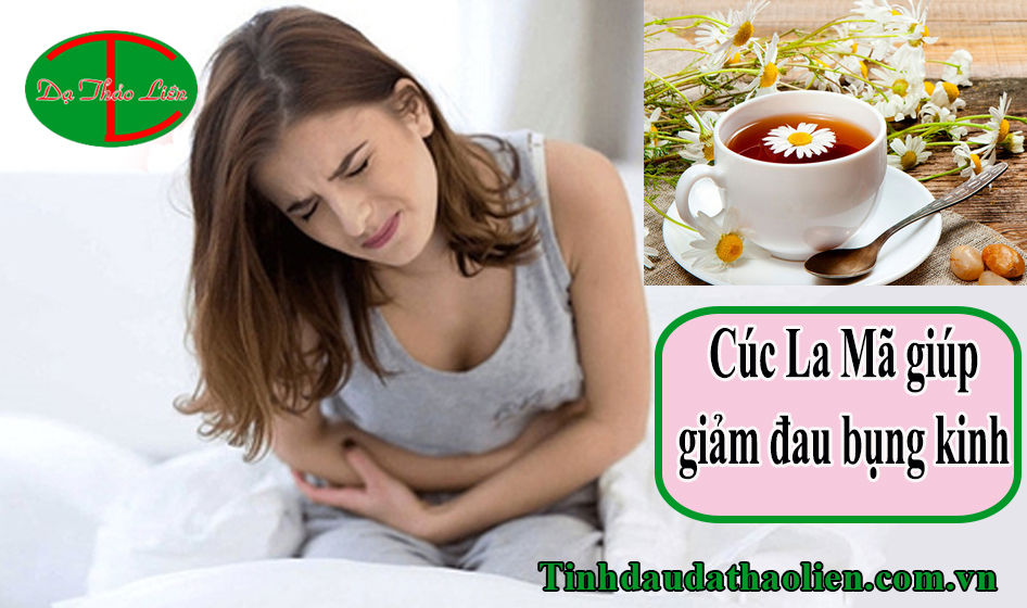 Tác dụng của cúc La Mã