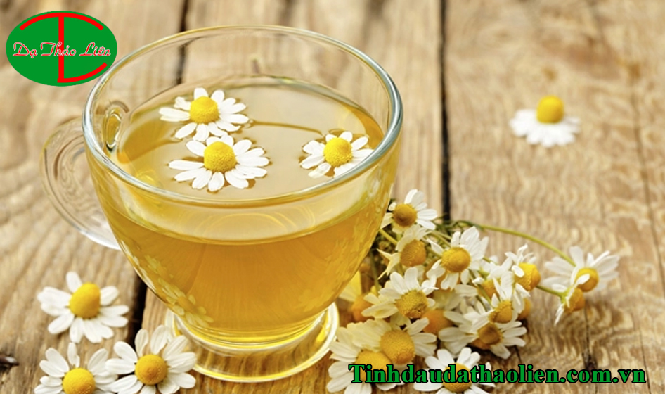 Tác dụng của cúc La Mã