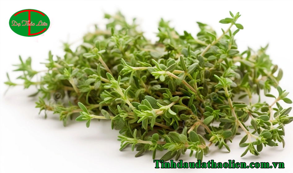 Cách trị sâu răng