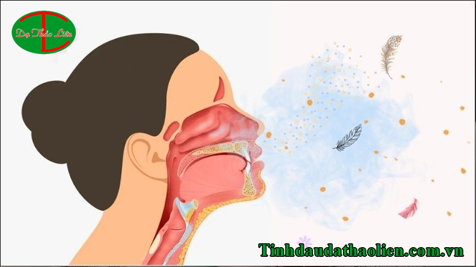 Cách trị viêm họng