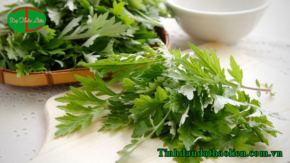 Lá ngải cứu