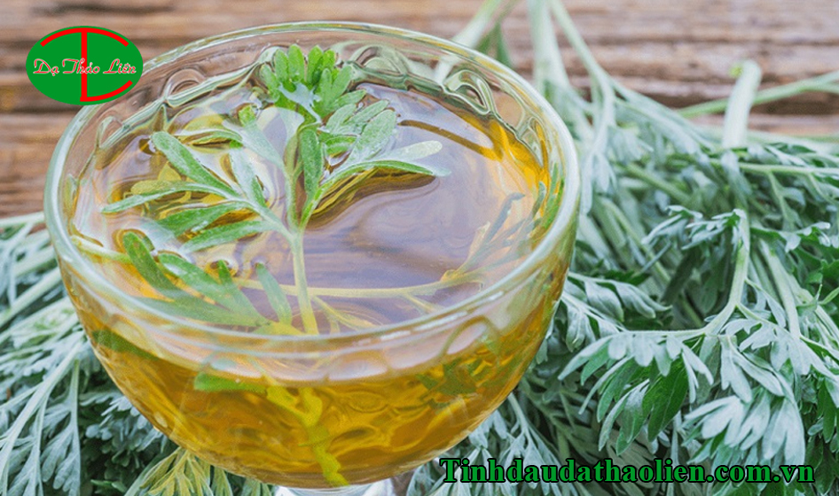 Ngải cứu có tác dụng gì