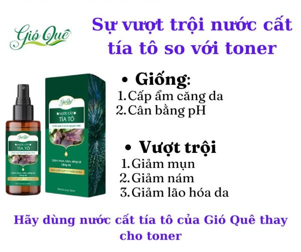 Nước cất tía tô Gió Quê