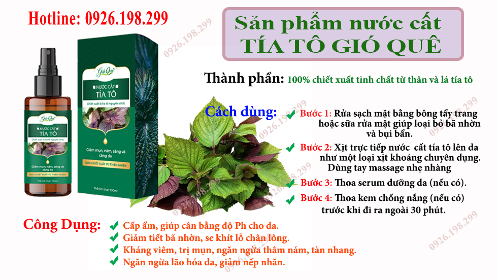 Nước cất tía tô Gió Quê