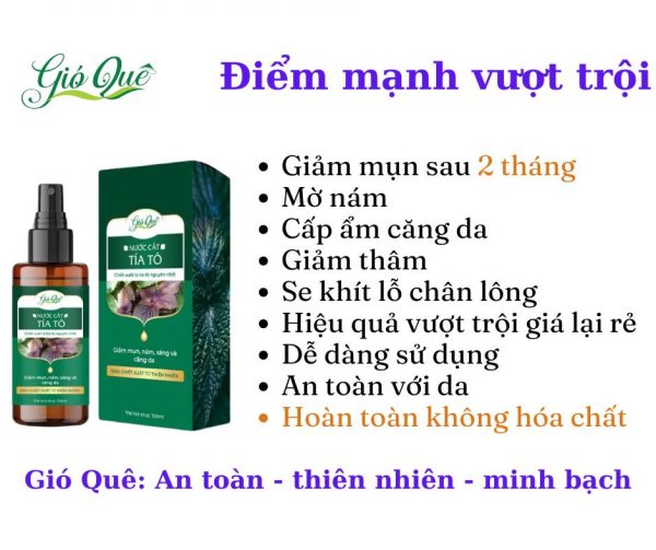 Nước cất tía tô Gió Quê