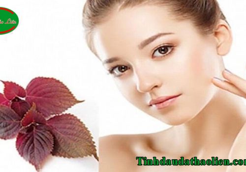 Tía tô trị nám tàn nhang