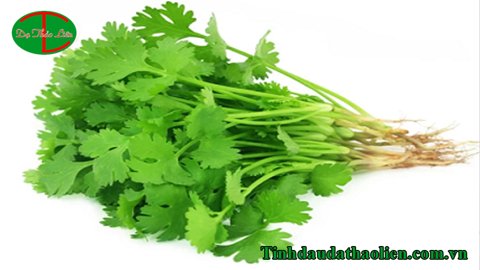 Cách trị nám tàn nhang lâu năm