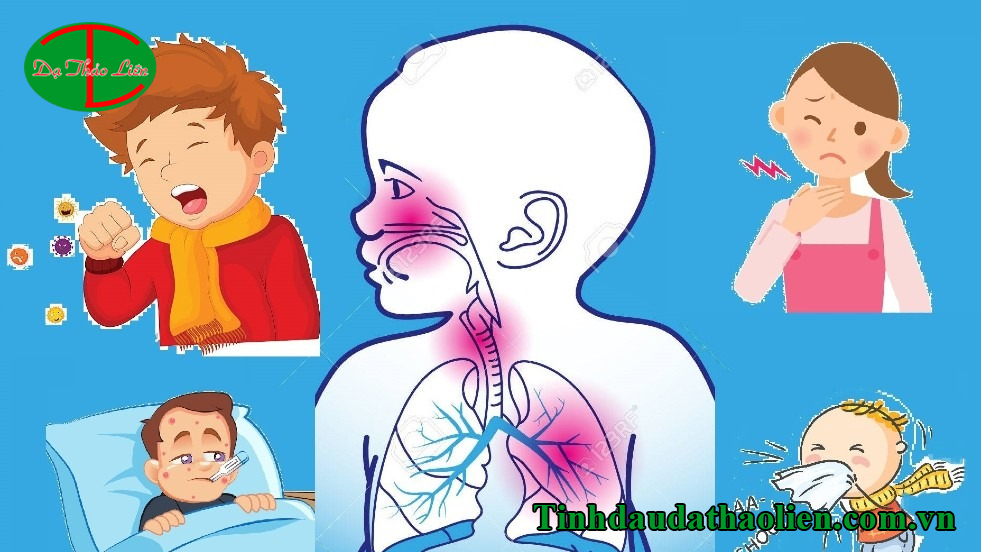 Lá ngải cứu chữa viêm đường hô hấp