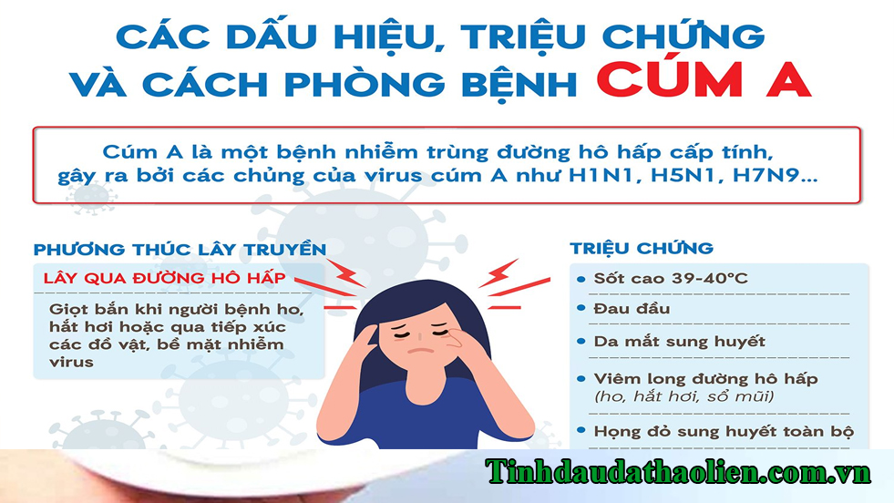Bệnh cúm A