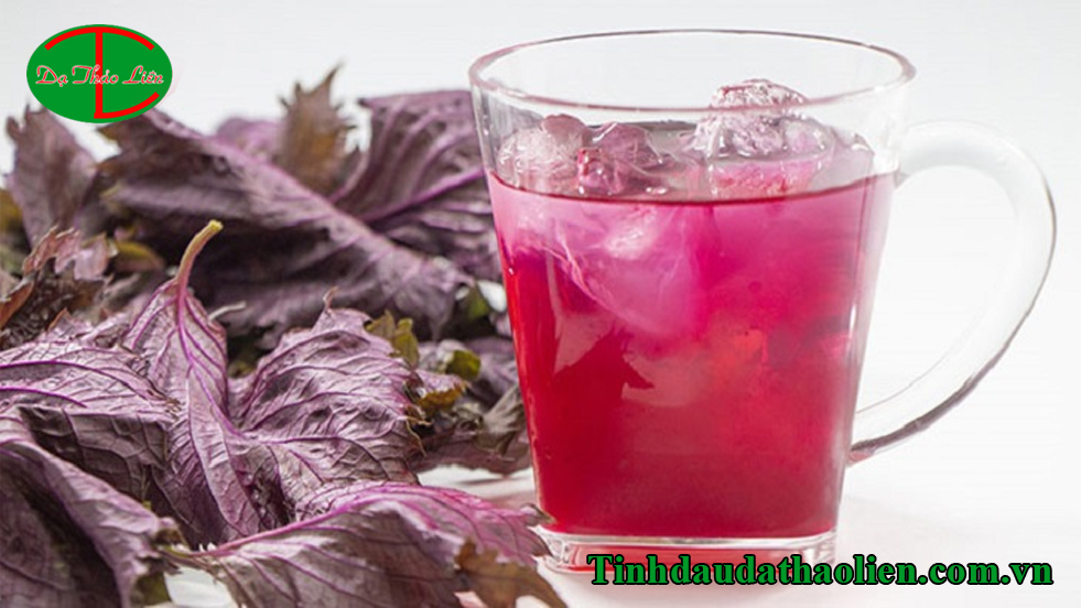 Cách trị mụn bằng lá tía tô