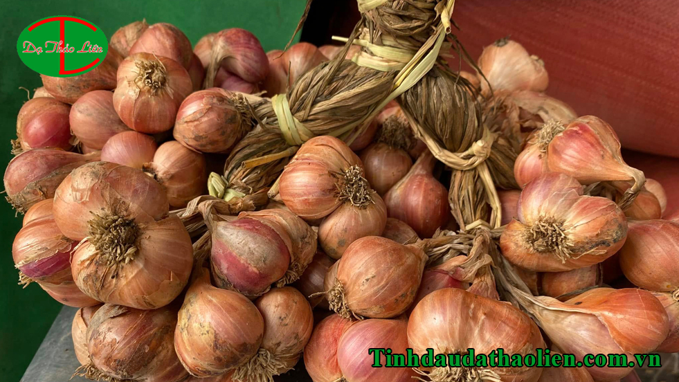 Cách điều trị viêm amidan hốc mủ tại nhà