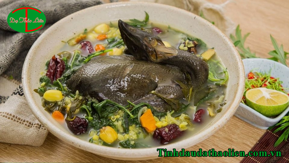 Tác dụng của ngải cứu đối với sức khỏe